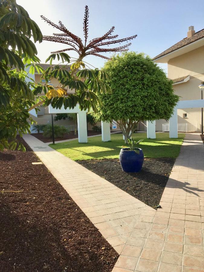 Apartament Royal Marina Golf-B San Miguel de Abona Zewnętrze zdjęcie
